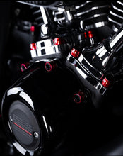 Load image into Gallery viewer, Santoro Fabworx CHACHO'S BOLT KIT